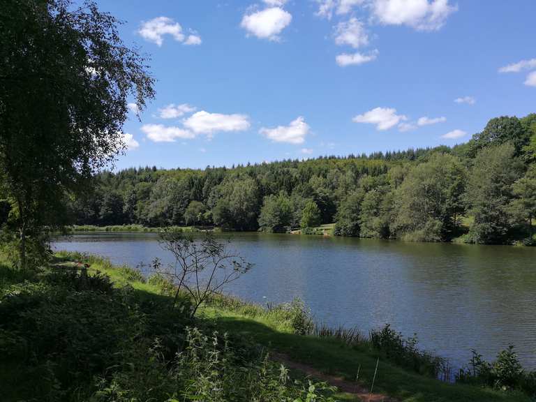 Glashütter Weiher MountainbikeTouren und Trails komoot
