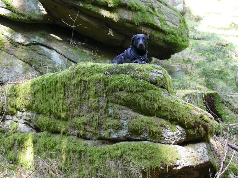 Große Teufelsküche: Wanderungen und Rundwege | komoot