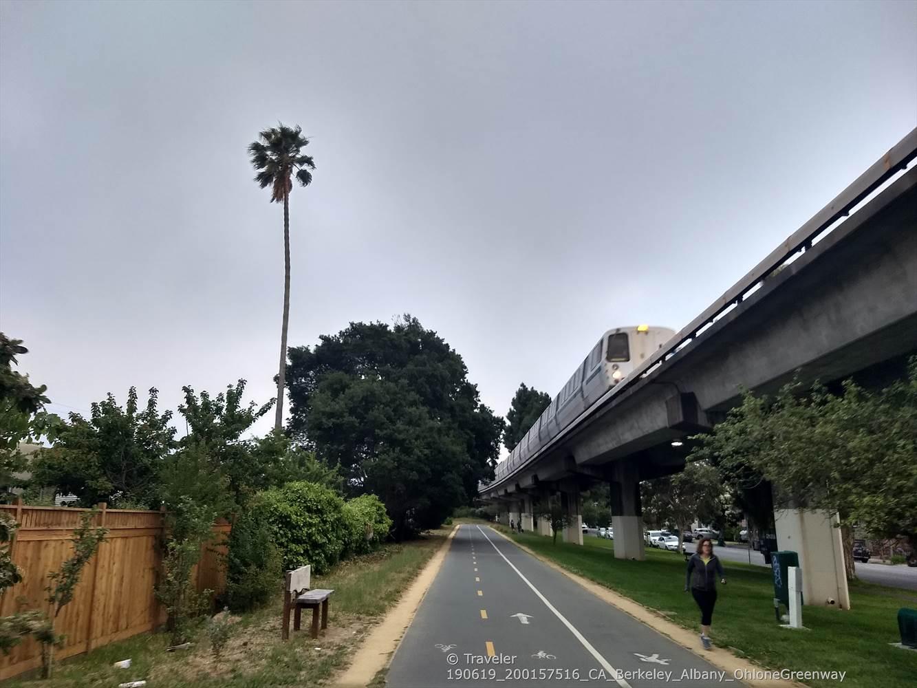 Paved path next to elevated train tracks with a train, palm tree, and person.