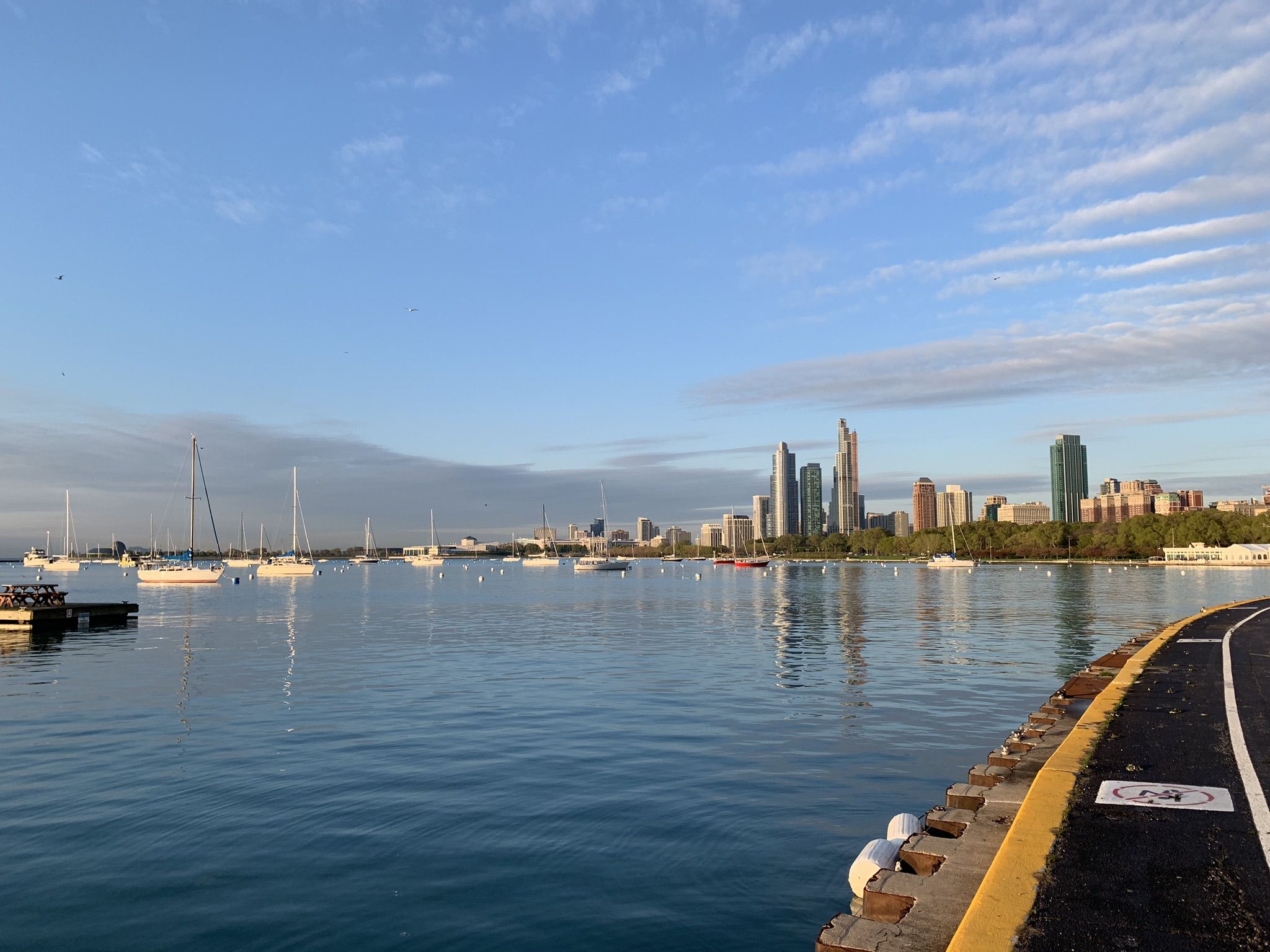 Boats docked on calm water with a city skyline under a clear sky. - Chicago Lakefront and Riverwalk Trail