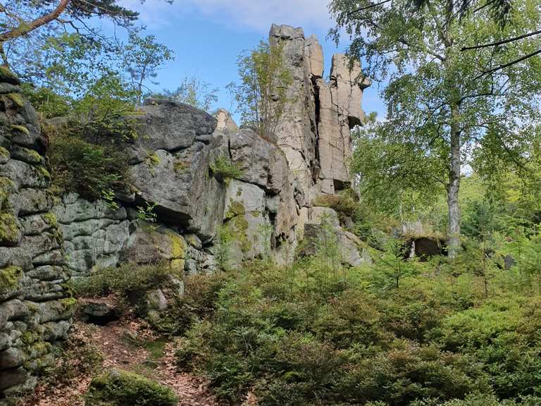 Zipfeltannenfelsen Routes for Walking and Hiking | Komoot