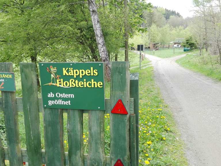 göltschtalbrücke zu käppels teichen mit dem fahrrad