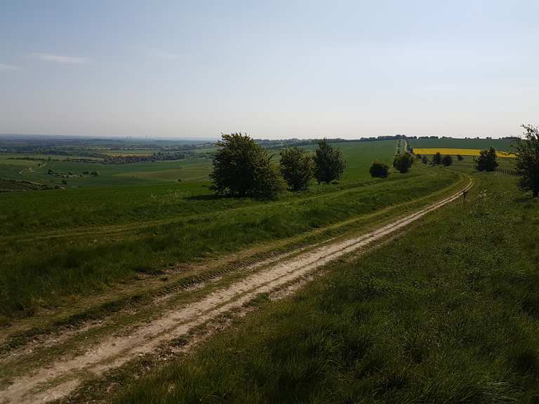 ridgeway mountain bike trail