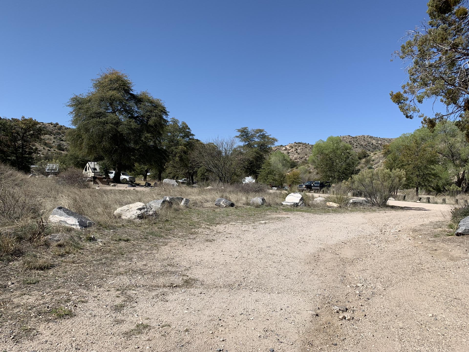 A dirt clearing with scattered trees and distant vehicles under a clear sky.