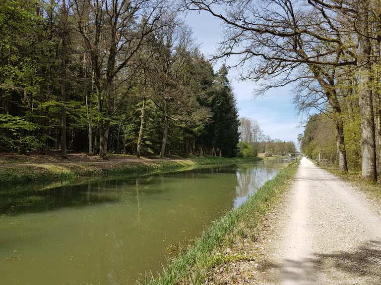 Am LudwigDonauMainKanal Radtouren und Radwege komoot