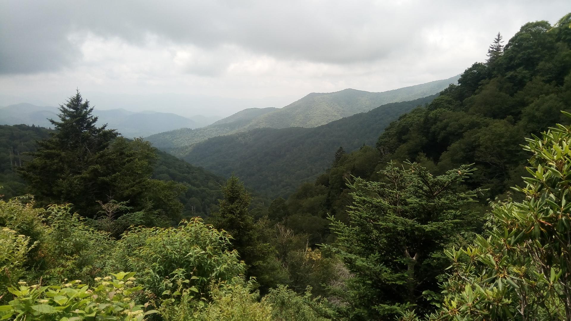 Dense green forest covers rolling mountains under a cloudy, dramatic sky.