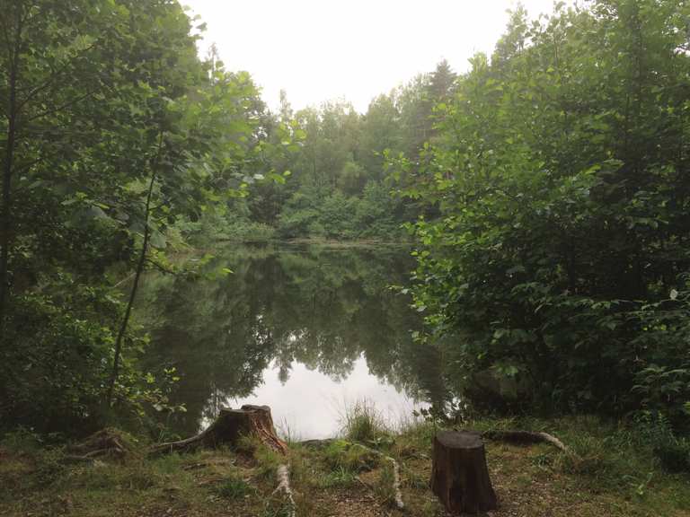 Schwarzer Teich Wanderungen und Rundwege komoot