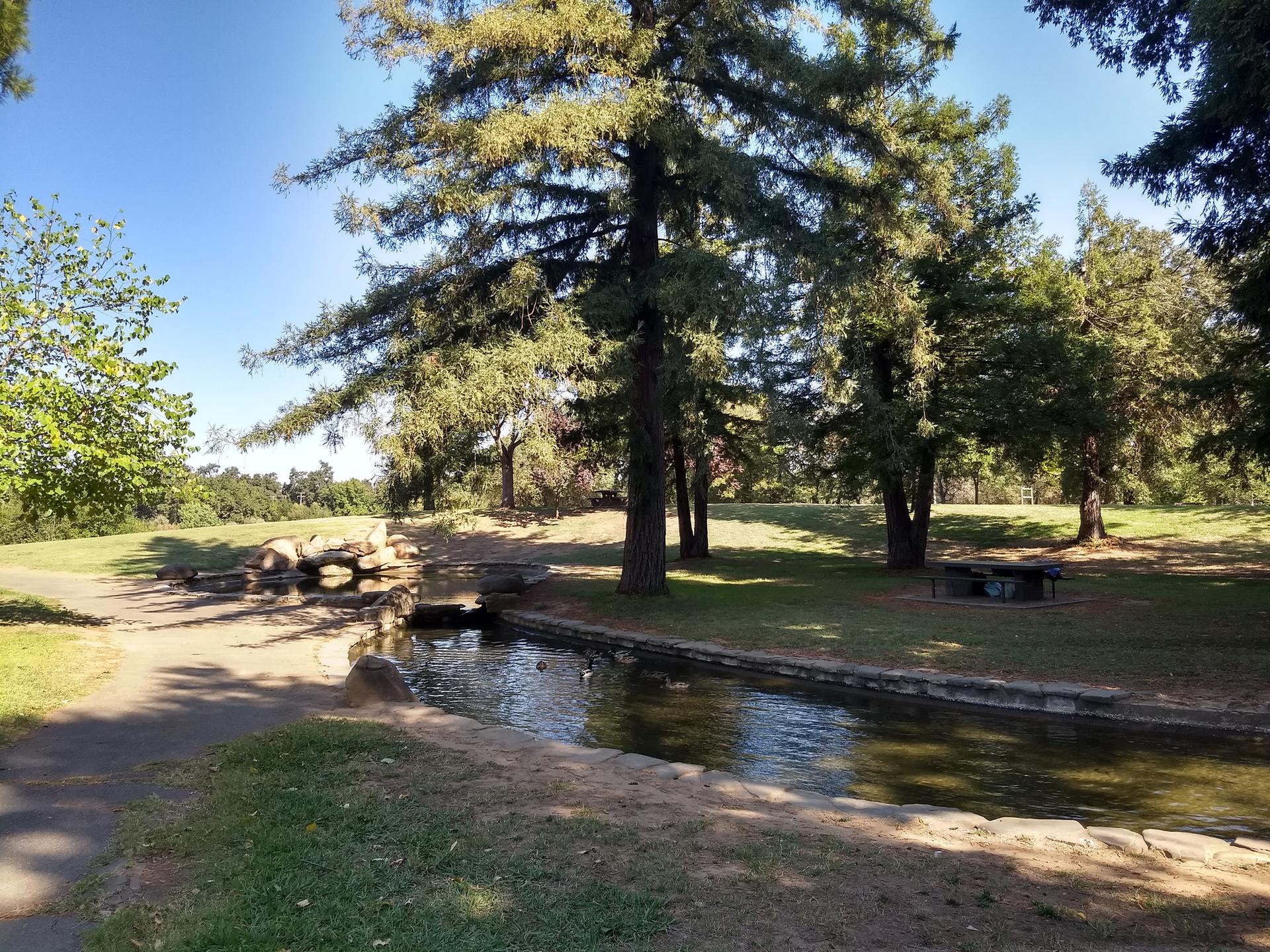 A small stream flows through a sunny park with large trees and green grass.