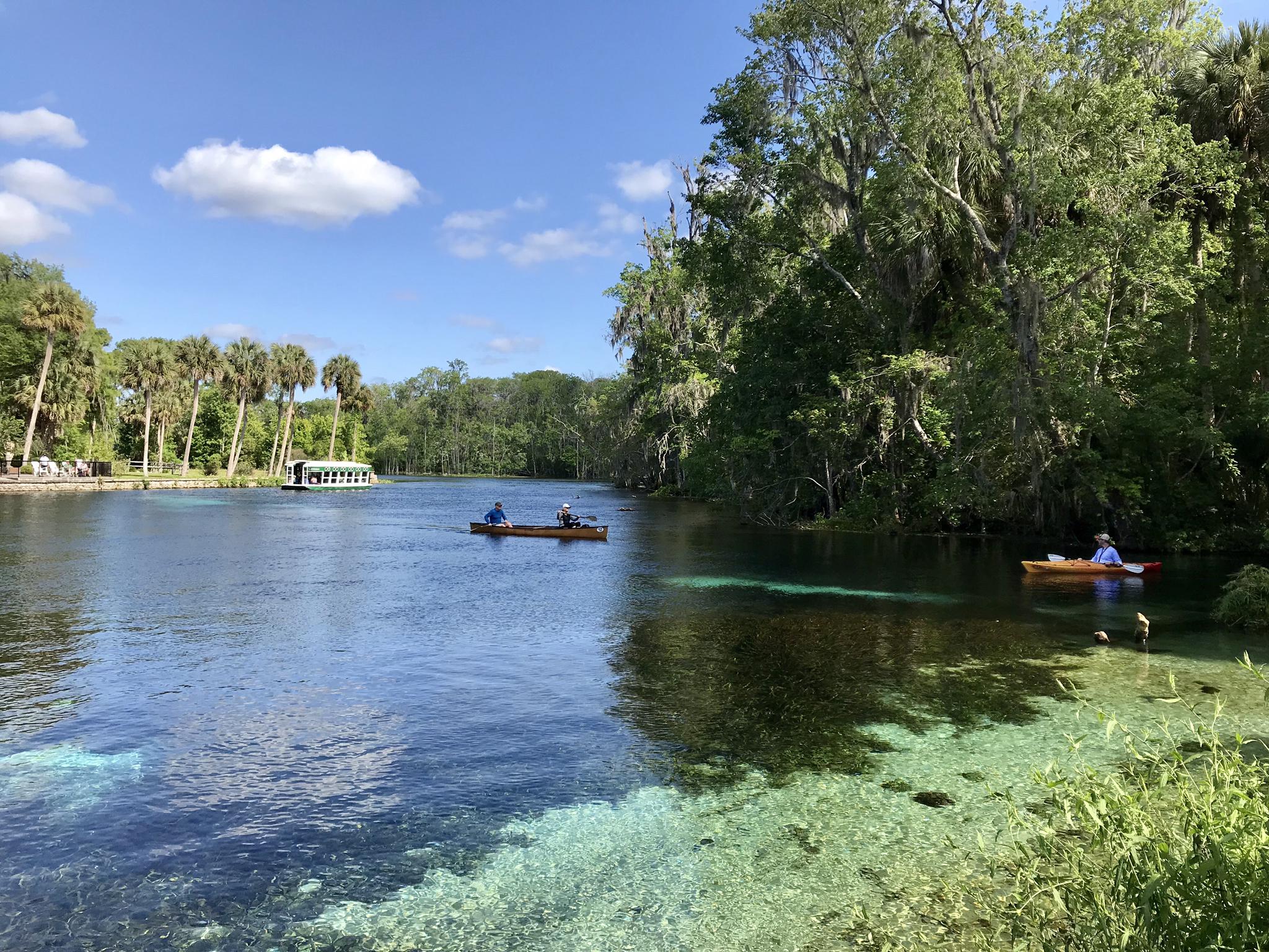 People canoeing on clear blue water surrounded by lush green trees.