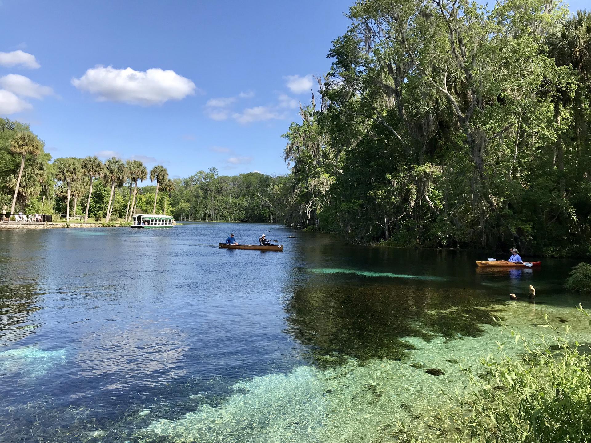 People canoeing on clear blue water surrounded by lush green trees.
