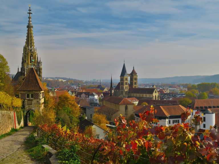 Neckarhaldentor: Wanderungen und Rundwege | komoot
