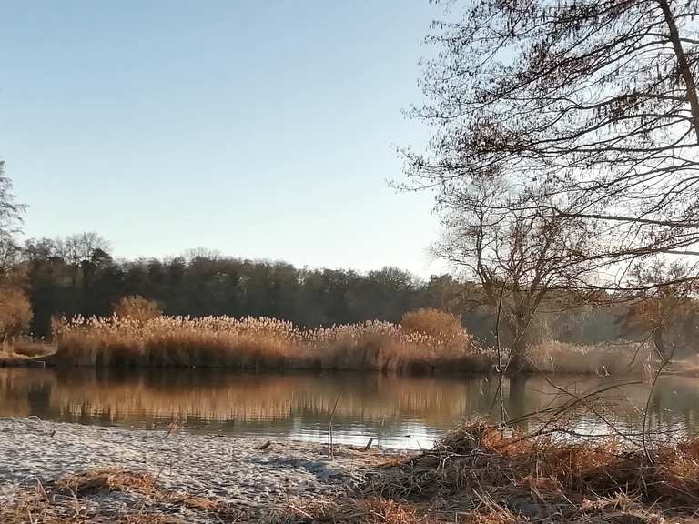 Niederwiesenweiher Wanderungen und Rundwege komoot