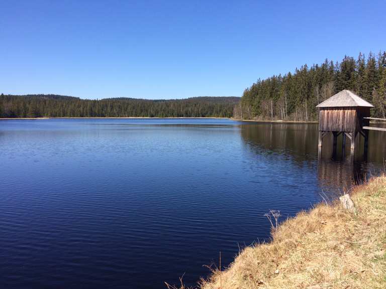 Rosenhofer Teiche Wanderungen und Rundwege komoot