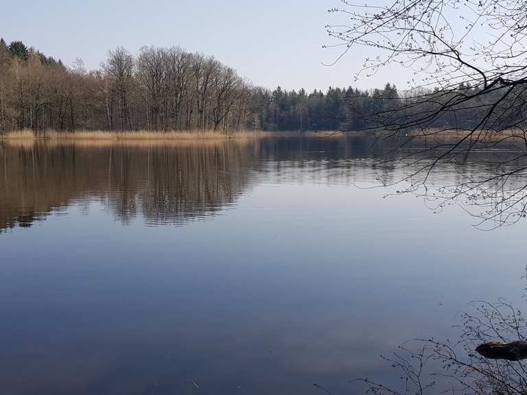 Bredenbeker Teich Wanderungen und Rundwege komoot