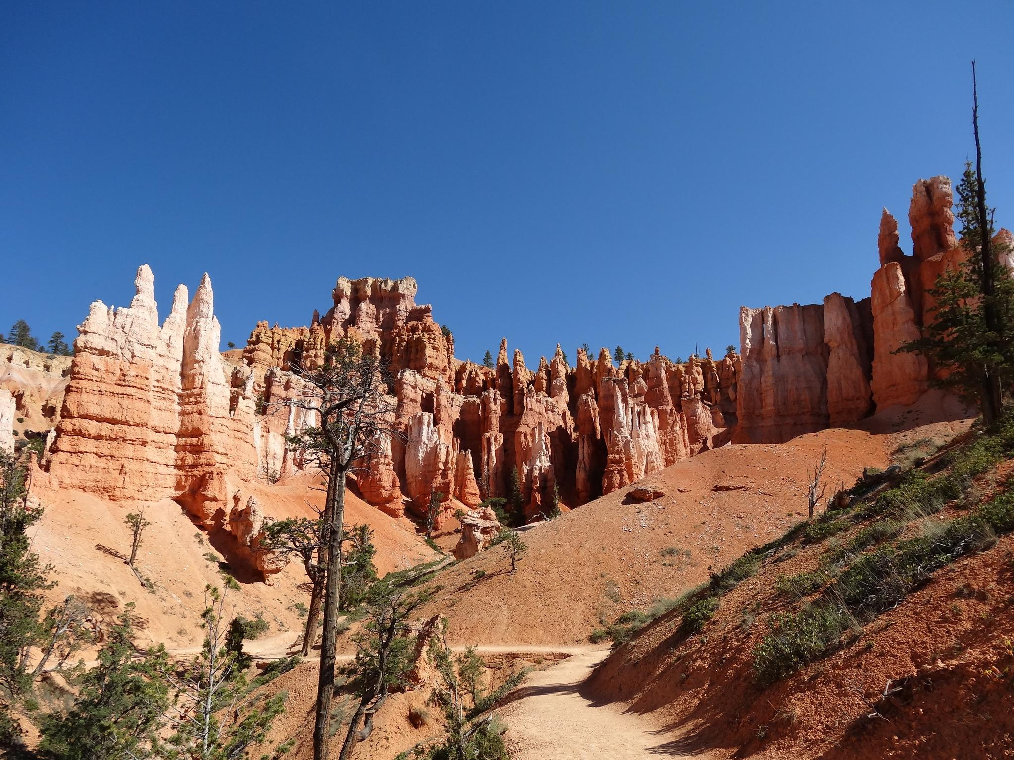 Dirt path leading through towering orange and white rock formations, clear sky.