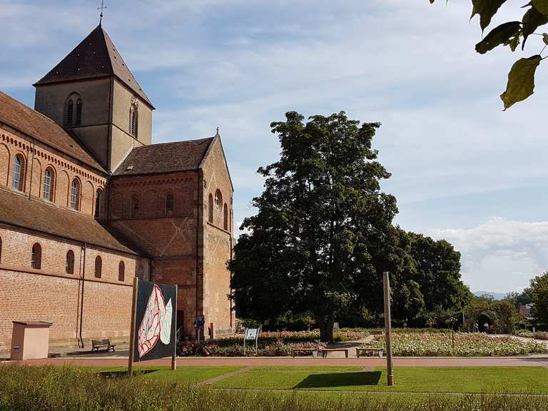 Schwarzach, Münster Rheinmünster, Rastatt Radtouren