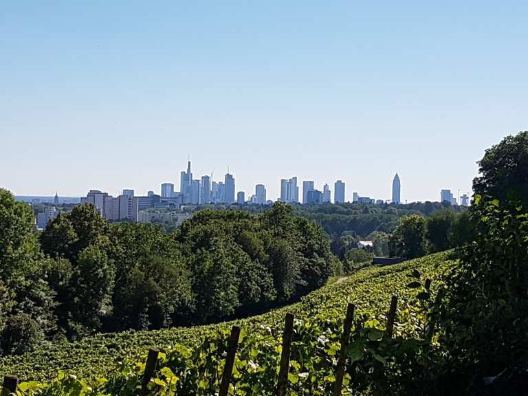 Lohrberg Frankfurt Skyline Panorama fietsroutes en kaart Komoot
