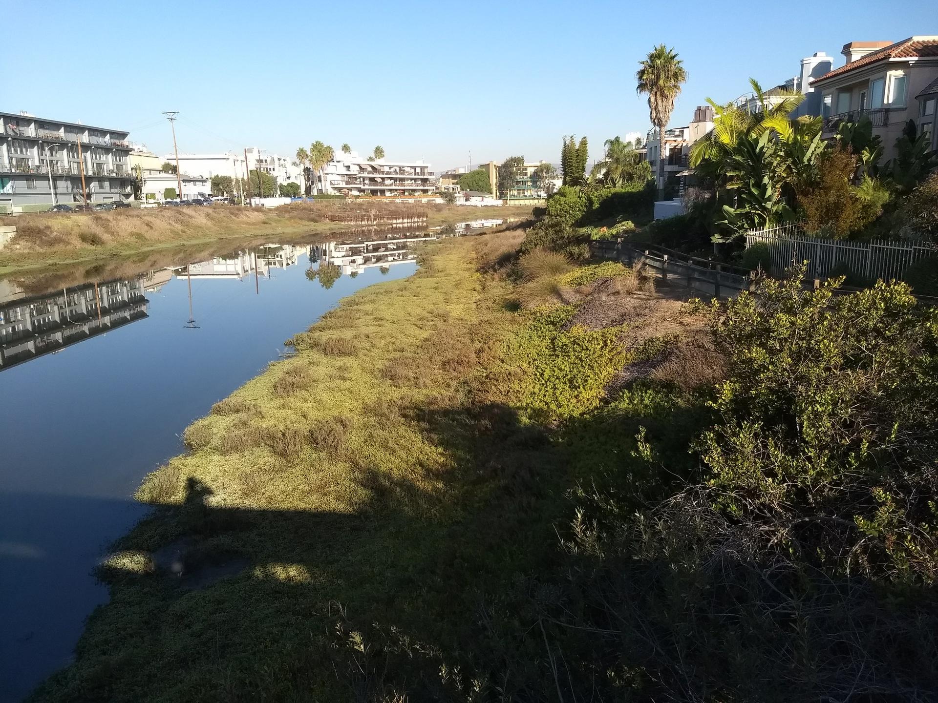 Sunny canal with grassy banks, buildings, and shadows.