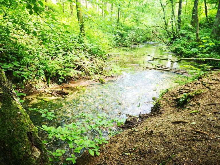 Donoper Teich Weg über den Hörster Berg Runde von Oerlinghausen