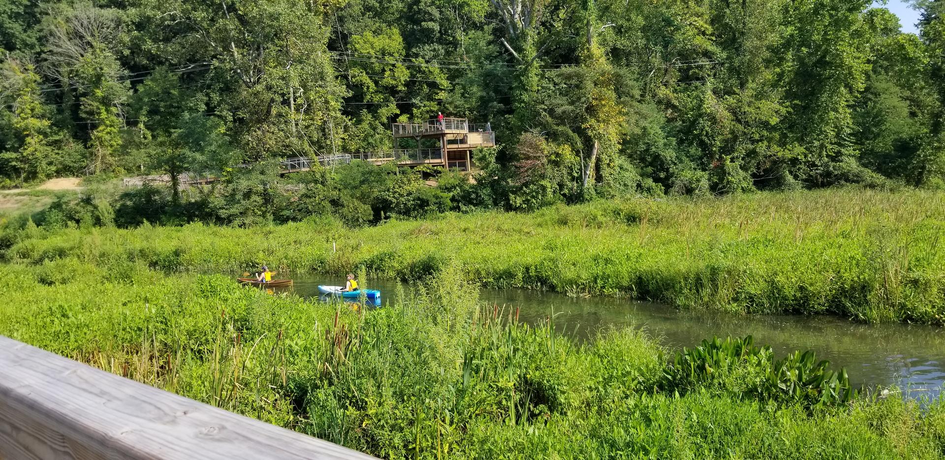 Two people kayaking on a narrow river surrounded by lush green vegetation.