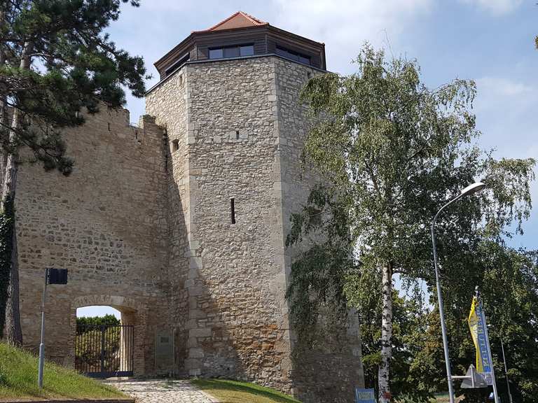 Ruine Röthelstein Hainburger Au Loop from Hainburg an der Donau