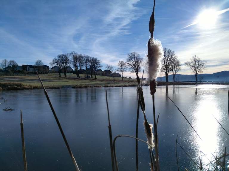 Hirtenbuschteiche: Wanderungen und Rundwege  komoot