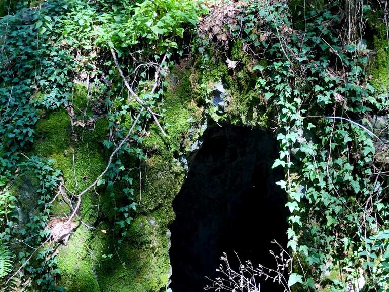 Schloss Neuguttenberg Guttenberg Kulmbach Mountainbiketipps Fotos Komoot