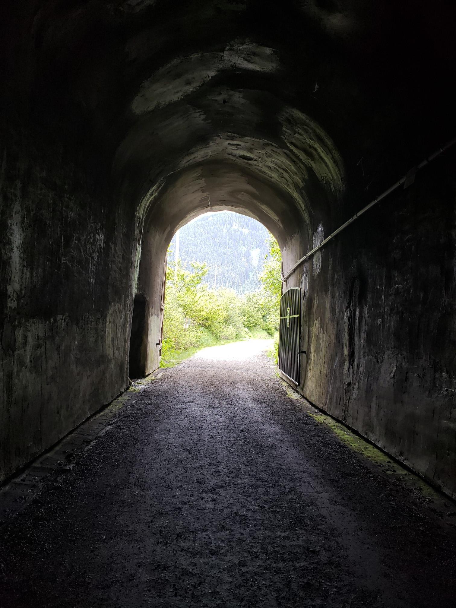 Dark, arched tunnel opening to a bright, sunlit outdoor landscape with green trees.
