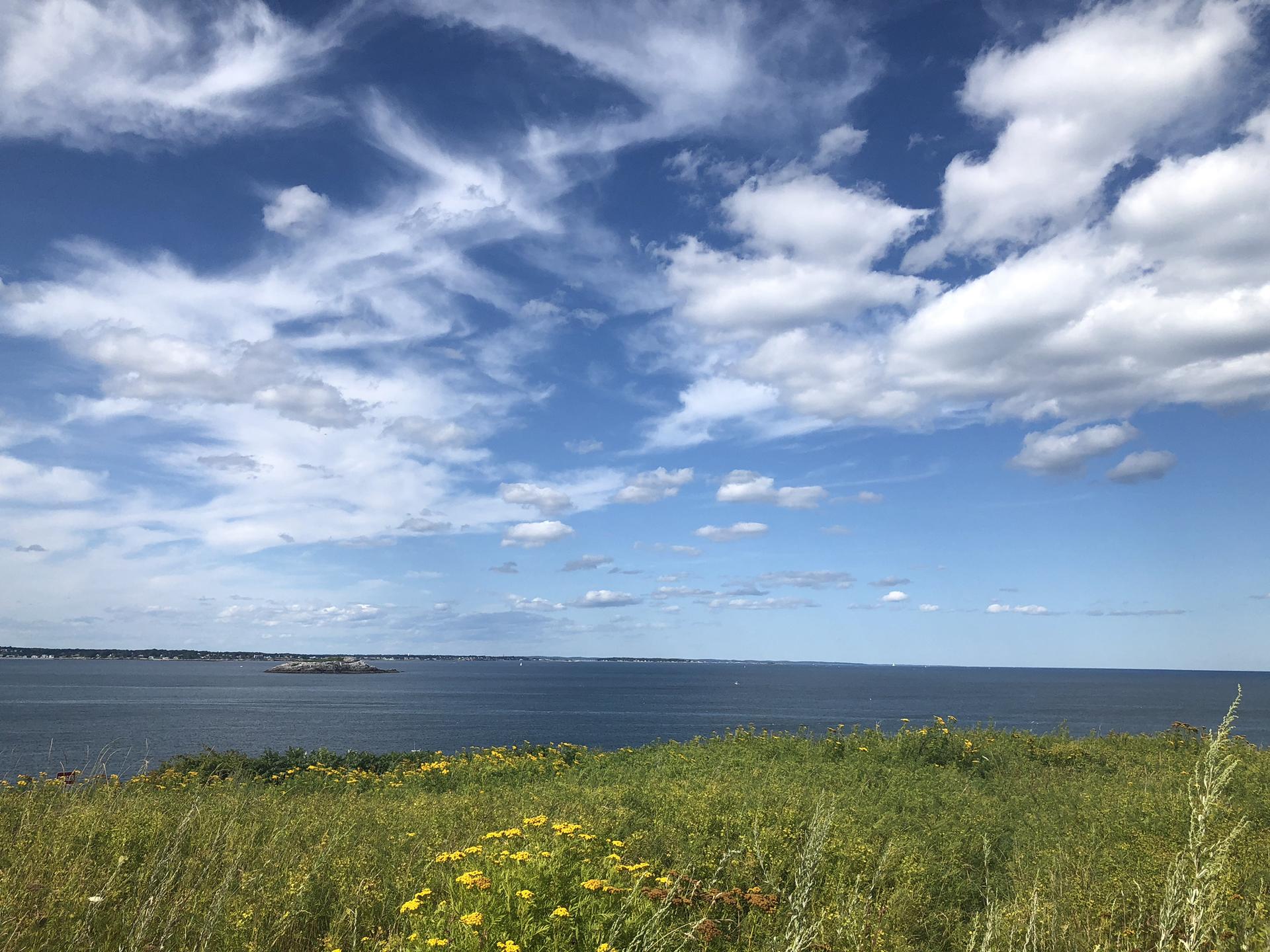 Vast ocean vista with a grassy field and yellow flowers under a dramatic blue sky.