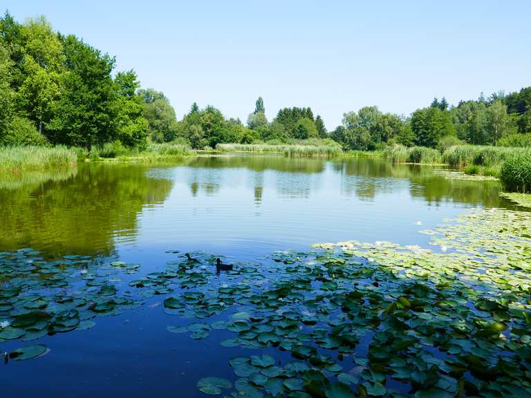 MärwilerRiet Radtouren und Radwege komoot