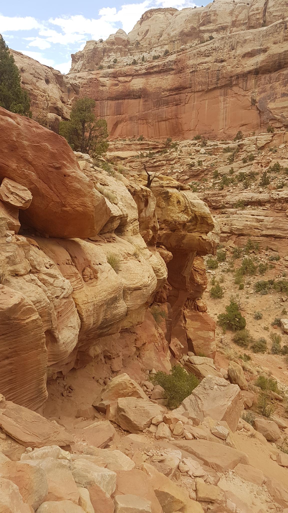Red rock canyon walls with sparse green trees under a cloudy sky.