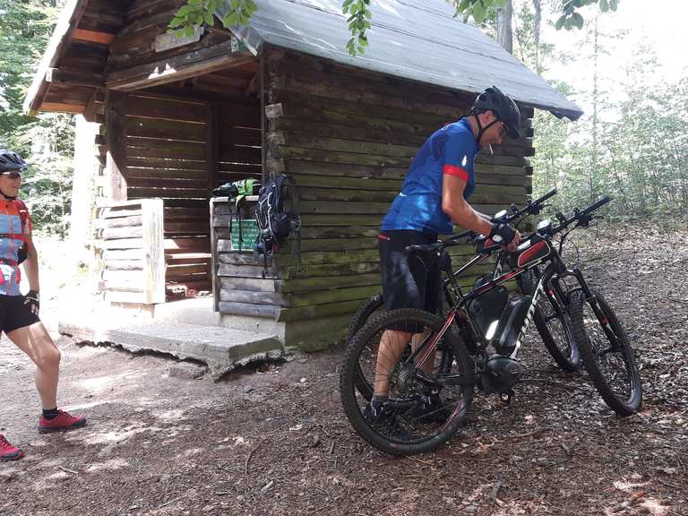 singletrails rheinland pfalz