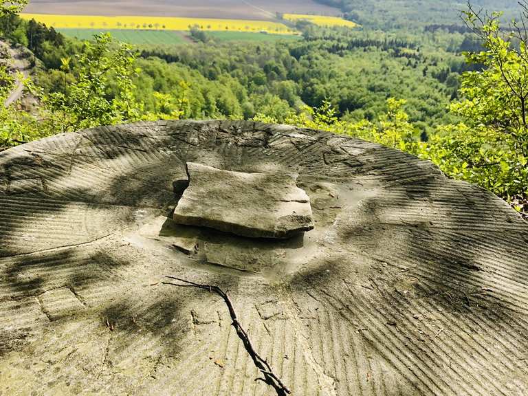 Weisser Stein Wanderungen und Rundwege komoot