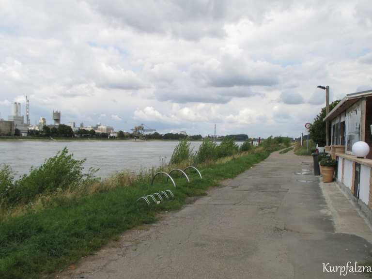 Friesenheimer Insel Radtouren und Radwege komoot