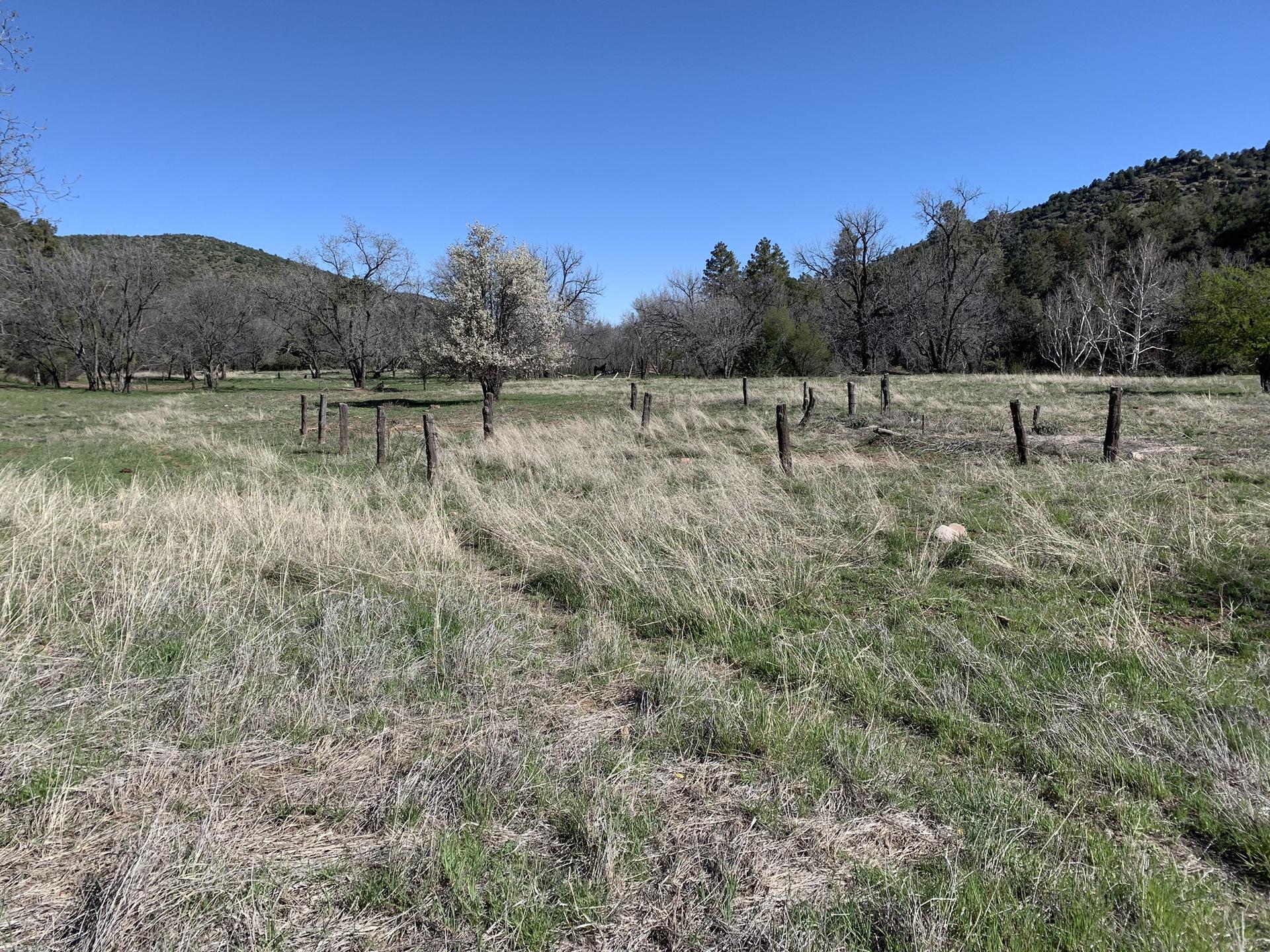 A wide, sunny grassy field with scattered wooden posts and distant hills.