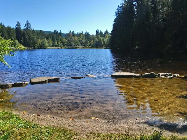 Waldrasthaus Karches Wanderungen und Rundwege komoot