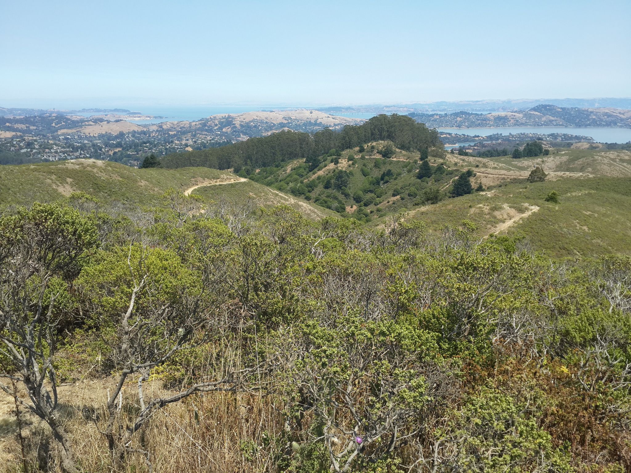 Expansive view of rolling green hills under a clear blue sky. - Coyote Ridge Trail to Muir Beach