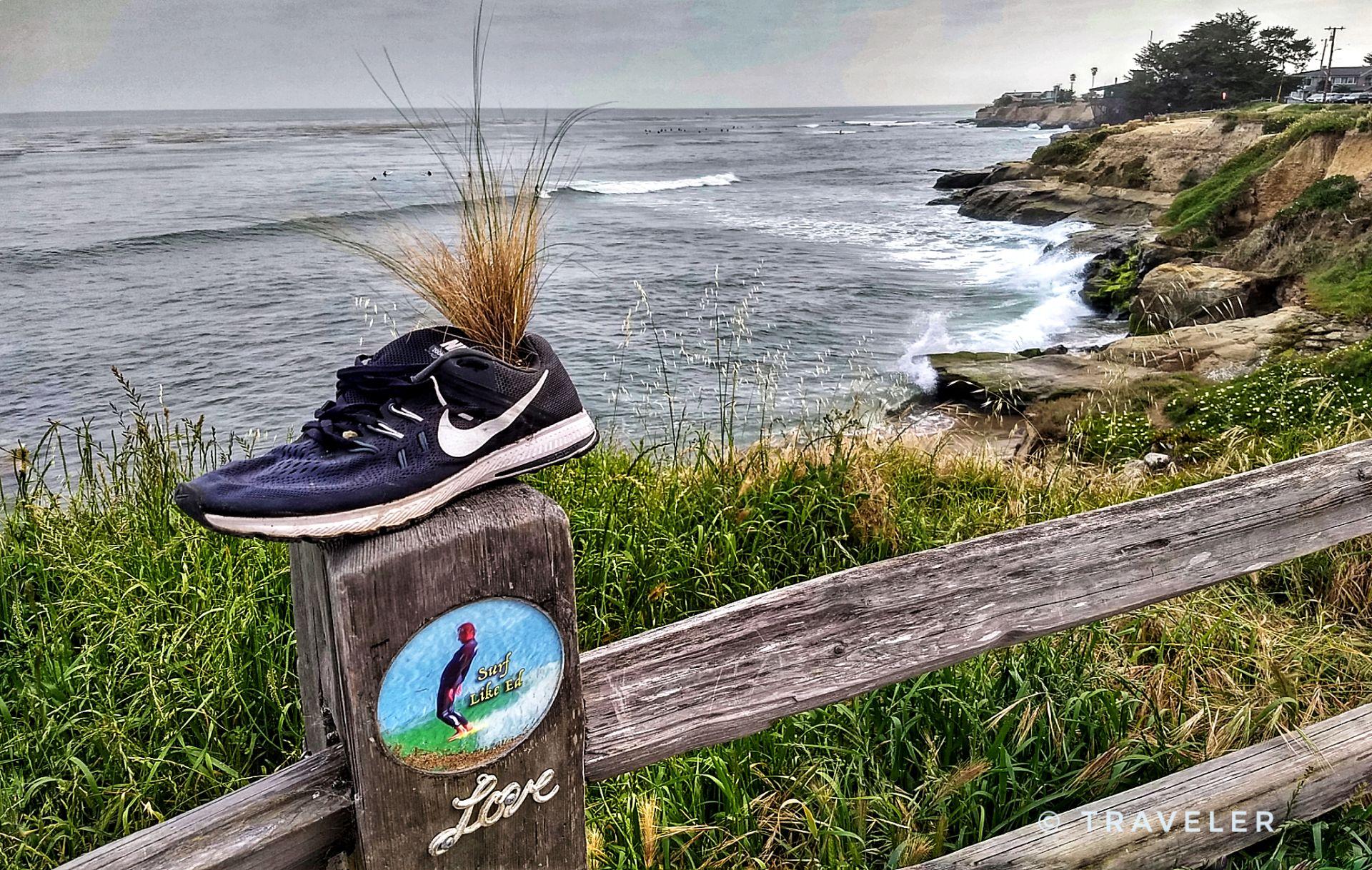 Sneaker with grass on a wooden fence overlooking a rocky ocean.