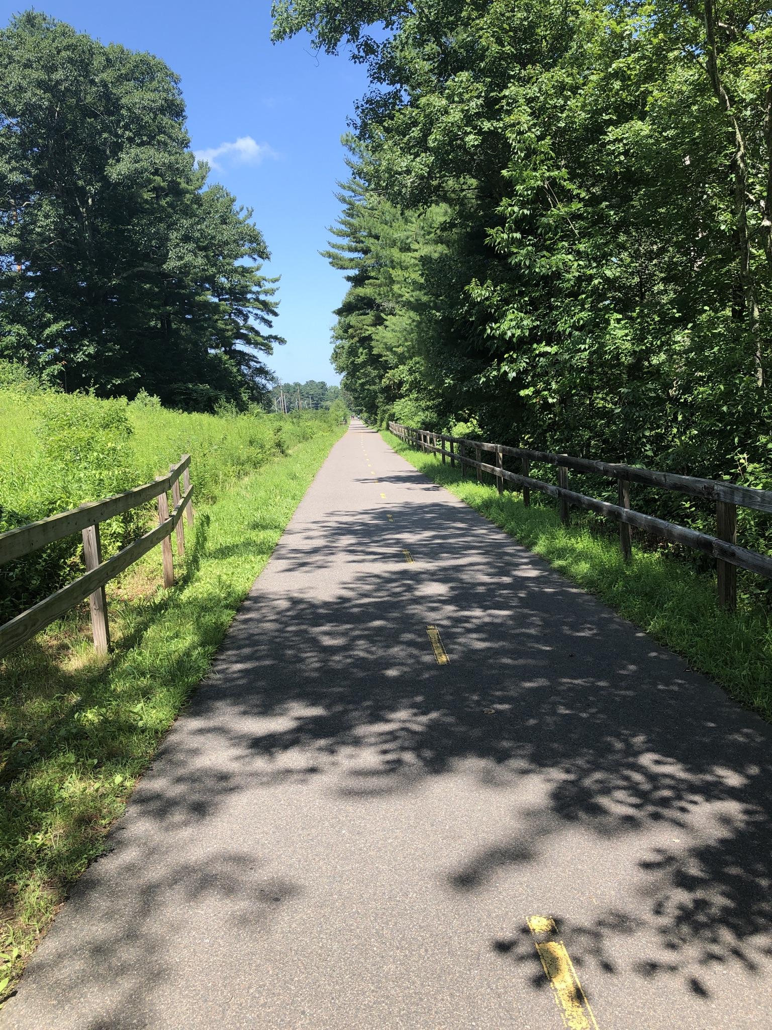 Long paved path through a sunny forest with wooden fences.