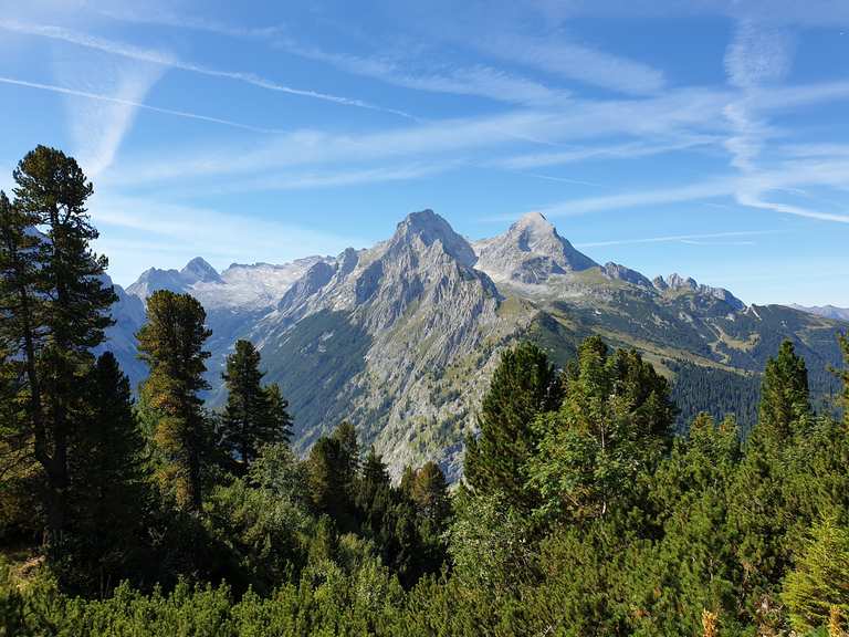 Alpengarten auf dem Schachen Routes for Walking and Hiking | Komoot