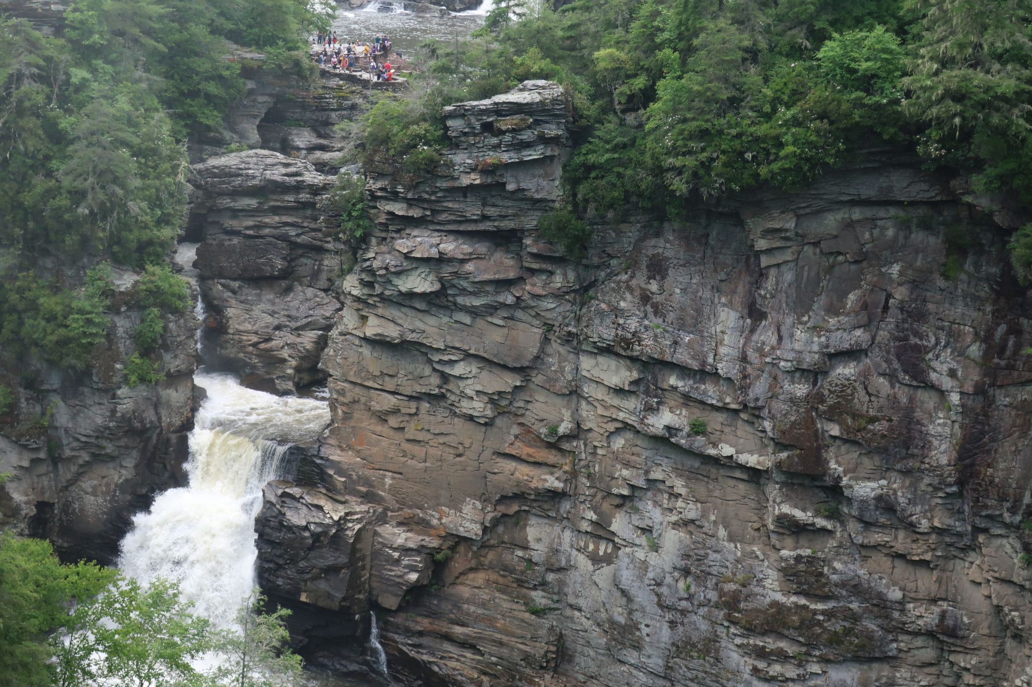 Powerful waterfall cascades between steep rocky canyon walls with green trees. - Erwin's View Trail