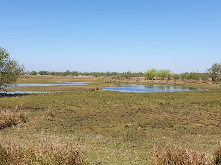 Binnenduinen Cycle Routes and Map | Komoot