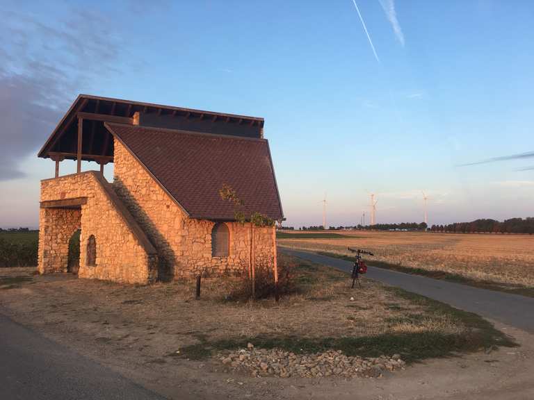 Amiche Radweg – Panoramablick über Rheinhessen Runde von Gau