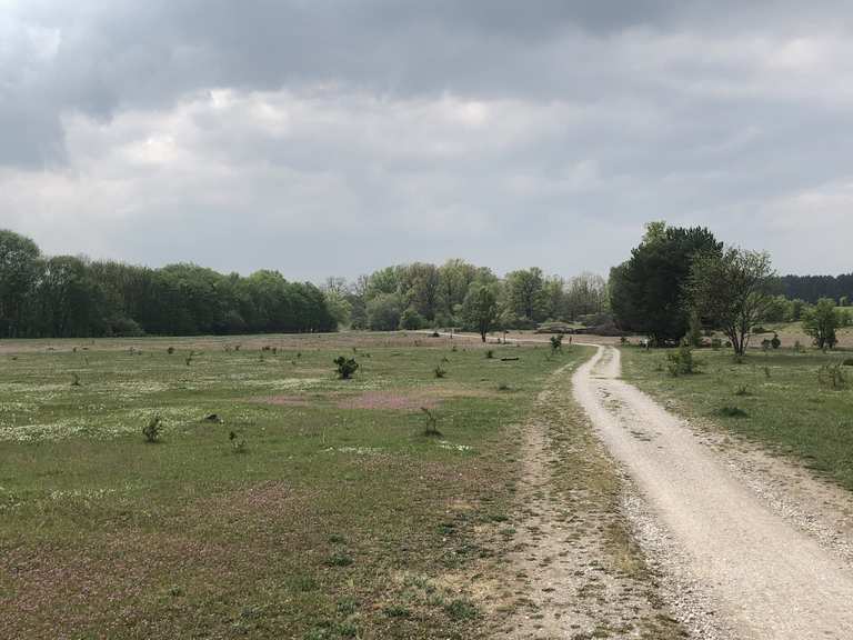Naturschutzgebiet Hainberg: Wanderungen und Rundwege | komoot