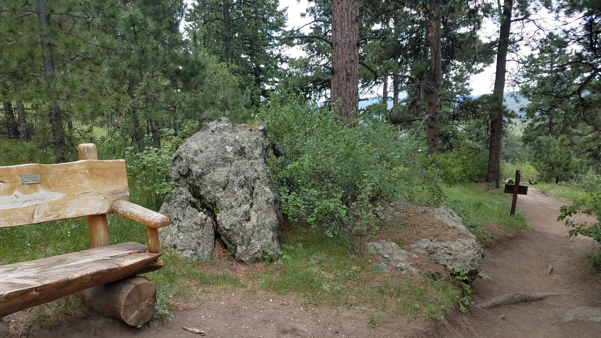 A rustic wooden bench sits beside a dirt trail in a green forest.