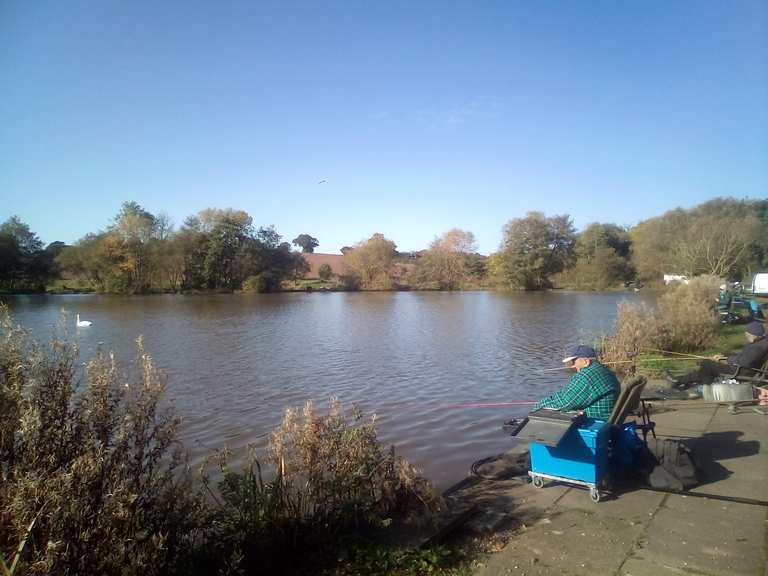 Longford Fisheries lakeside cafe Radtouren und Radwege komoot