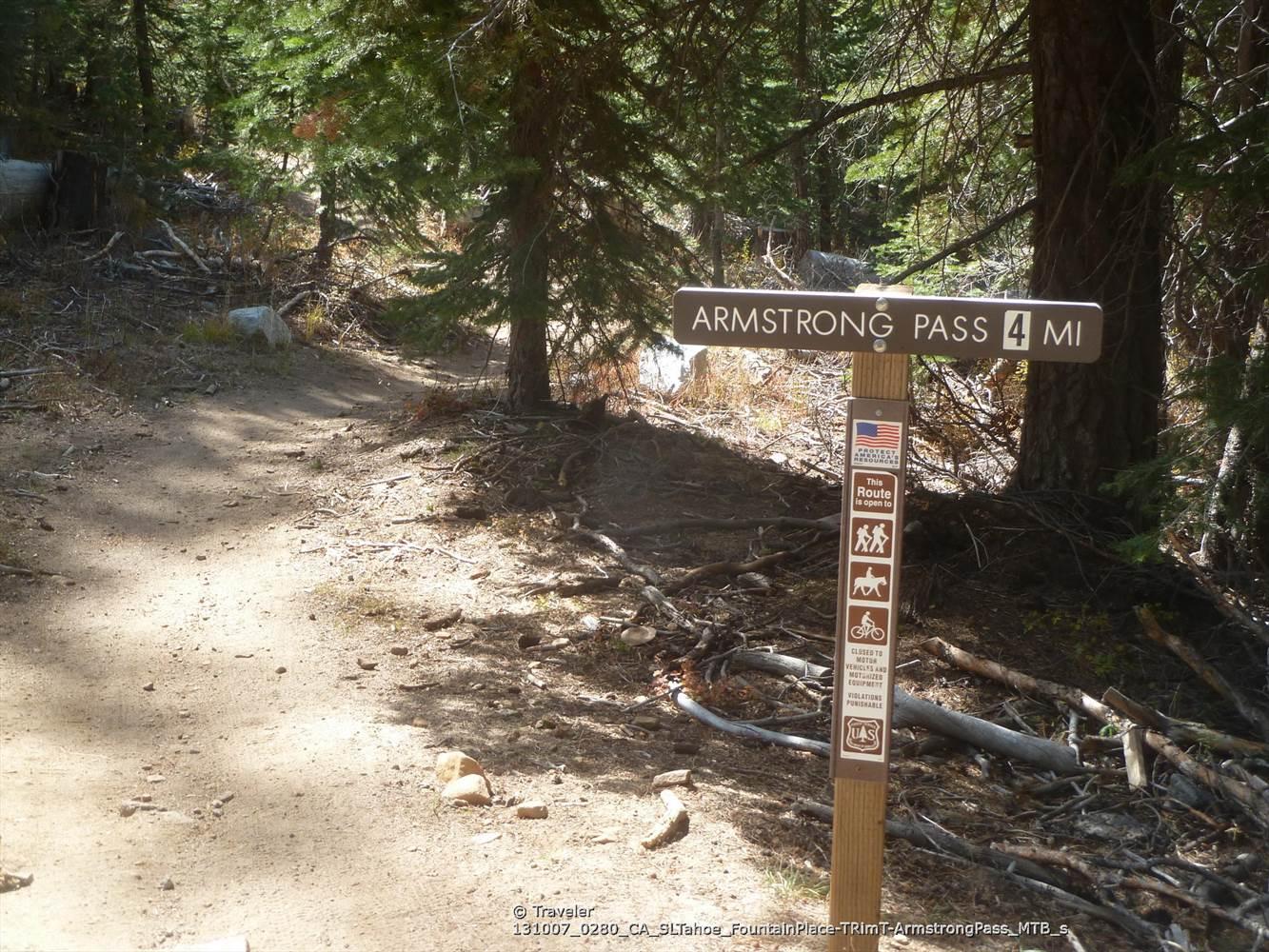 A trail sign in a sun-dappled forest points down a dirt path.