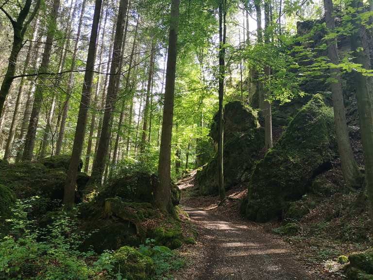 Bärental Wanderungen und Rundwege komoot
