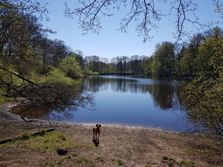 Kupferteich Nord Routes for Walking and Hiking Komoot