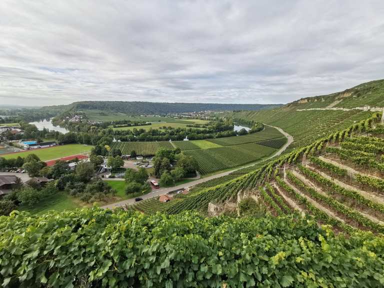 Stage 3 Esslingen am Neckar to Neckargröningen Württemberg Wine